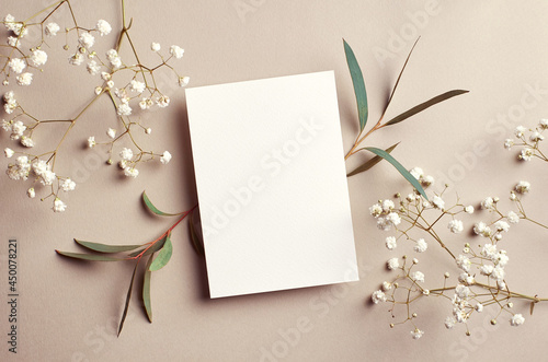 Wedding invitation card mockup with natural eucalyptus and white gypsophila twigs. Blank card mockup on beige background. photo