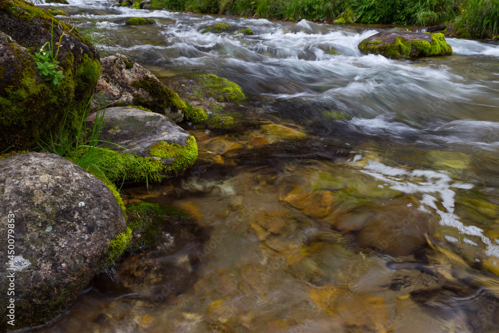 mountain stream, green leaves and branch mountain stream, green leaves and branch