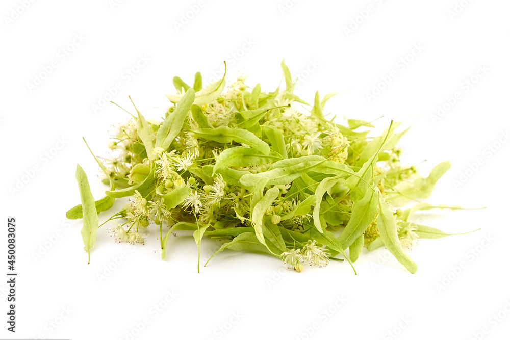 Linden flowers isolated on white background. Heap of fresh fragrant flowers Linden flowers isolated on white background. Heap of fresh fragrant flowers