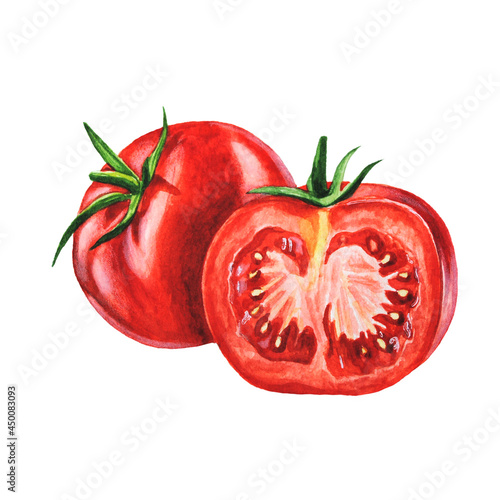Wallpaper Mural Watercolor Tomato Torontodigital.ca