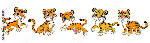 Fototapeta Naklejka Na Ścianę i Meble -  Set of five cute cartoon tiger cubs vector illustration