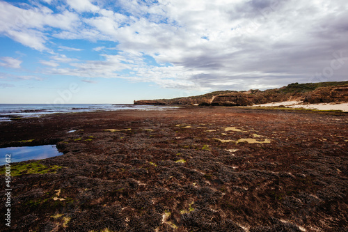 Monforts Beach in Blairgowrie Australia photo