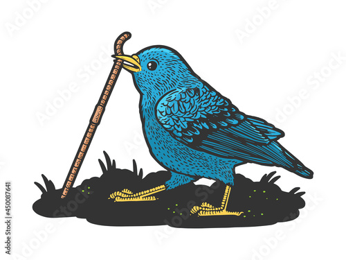 Bird bluebird pulls the worm out of the ground color sketch engraving vector illustration. T-shirt apparel print design. Scratch board imitation. Black and white hand drawn image.