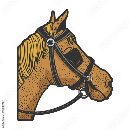 Blinkers horse tack on horse eyes color sketch engraving vector illustration. T-shirt apparel print design. Scratch board imitation. Black and white hand drawn image.