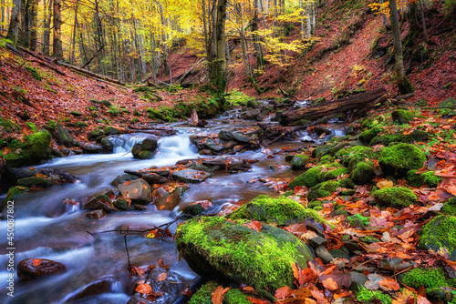 Amazing nature landscape with colored autumn forest and mountain creek, outdo...