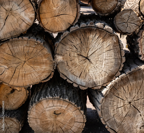 Cut wood logs texture. Felled tree trunks and harvested chopped logs.