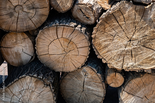 Cut wood logs texture. Felled tree trunks and harvested chopped logs.