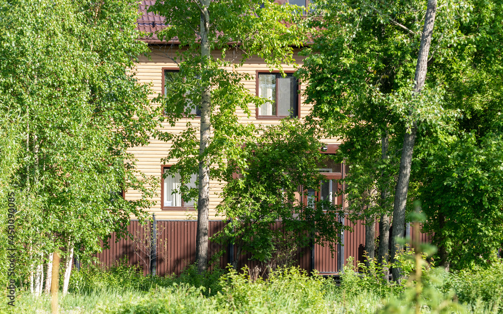 In the forest, behind the foliage of trees, houses are visible.
