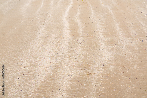 Sandy shore with small seashells