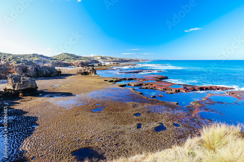 Monforts Beach in Blairgowrie Australia photo