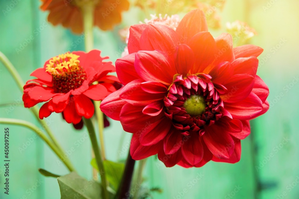 Obraz premium Greeting card - beautiful dahlia bouquet in vintage design 