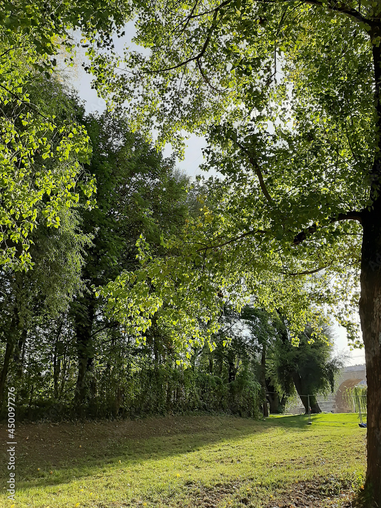 Naklejka premium Regensburg city, Germany: walking on a beautiful pring day in the park
