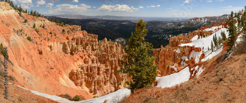 Ponderosa Point Panorama
