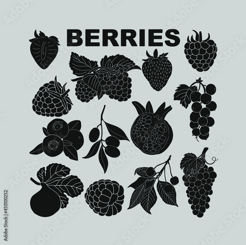 Tableau sur toile Berry set for use in product logos. Vector.