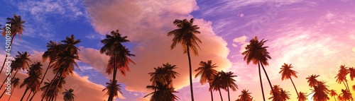 Palm trees on the background of a beautiful sunset sky with clouds, 3D rendering © ustas