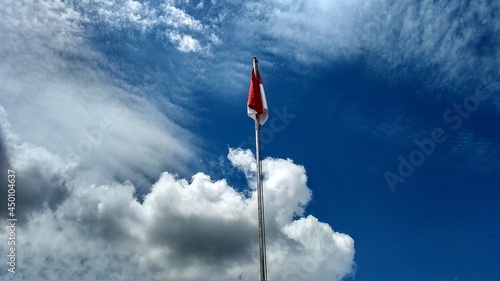 flag in the wind