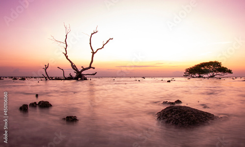 Gili Island Ocean Beach Driftwood Sunset with Smooth Blue Water and Dramatic Orange Sky

