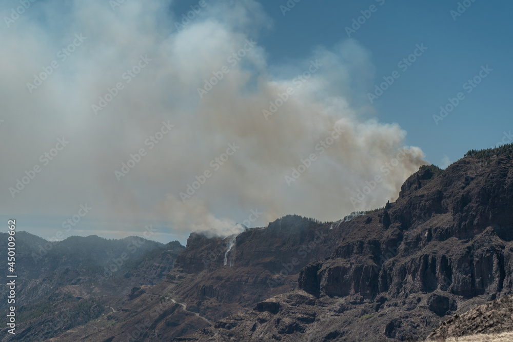 fire on the top of Gran Canaria in August 2019. Canary Islands. Spain