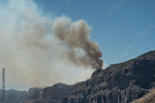 fire on the top of Gran Canaria in August 2019. Canary Islands. Spain