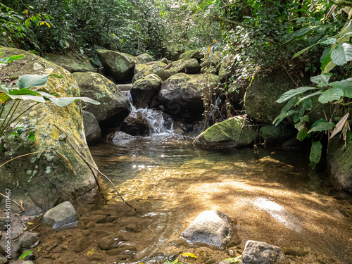 pequeno riacho em meio a floresta tropical rodeado de pedras com musgo e vegetação por todos os lados com uma pequeno lago abaixo photo