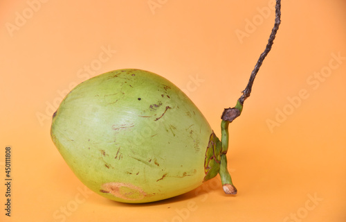 Green young coconut isolated on yellow background