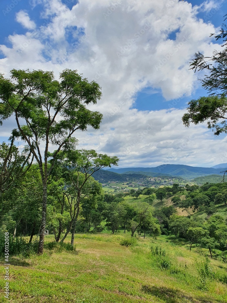 landscape with trees landscape with trees