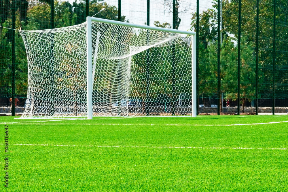 Fototapeta premium Football goal .soccer gates. stadium.