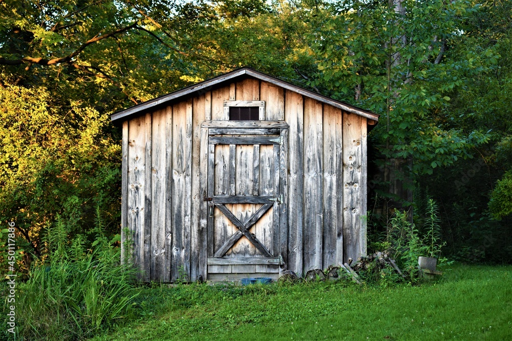 Rustic Shed
Rustic Shed