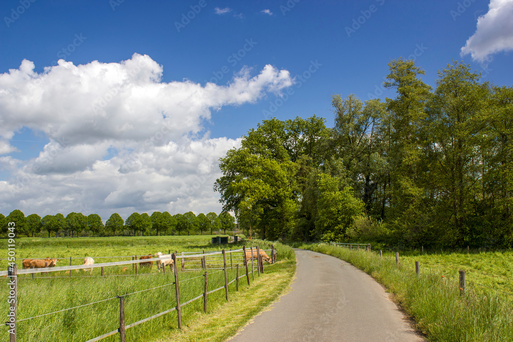 german countryside landscape, Lower Rhine Region, Germany