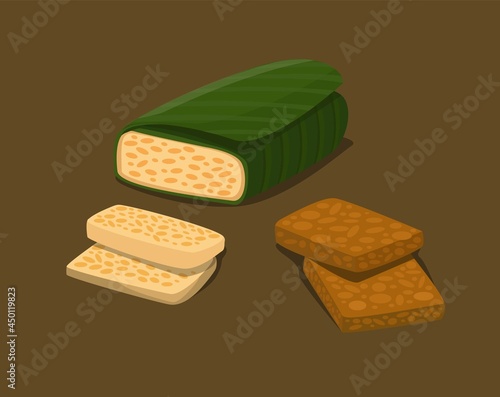Tempe is indonesian traditional food from soy bean fermented in raw and fried slice symbol set illustration vector