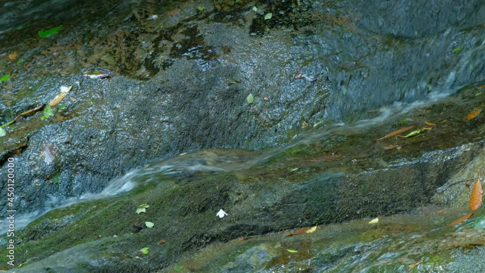 Close up shot of water flowing swiftly across smooth rock face. Fallen leaves and moss accent this scene. Close up shot of water flowing swiftly across smooth rock face. Fallen leaves and moss accent this scene.