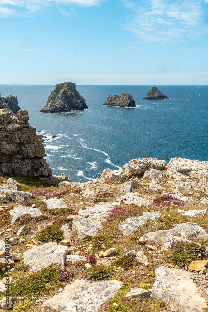 The beautiful coastline in summer at Pen Hir Point on the Crozon Peninsula in French Brittany, the three famous islets, France. Vertical photo