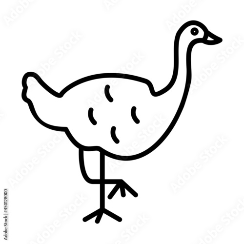 Ostrich Vector Line Icon Design