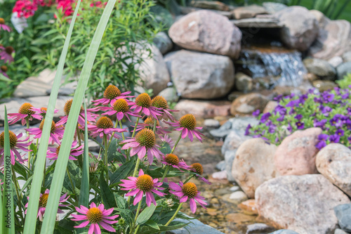 Plants and flowers along the stream of a backyard water feature.