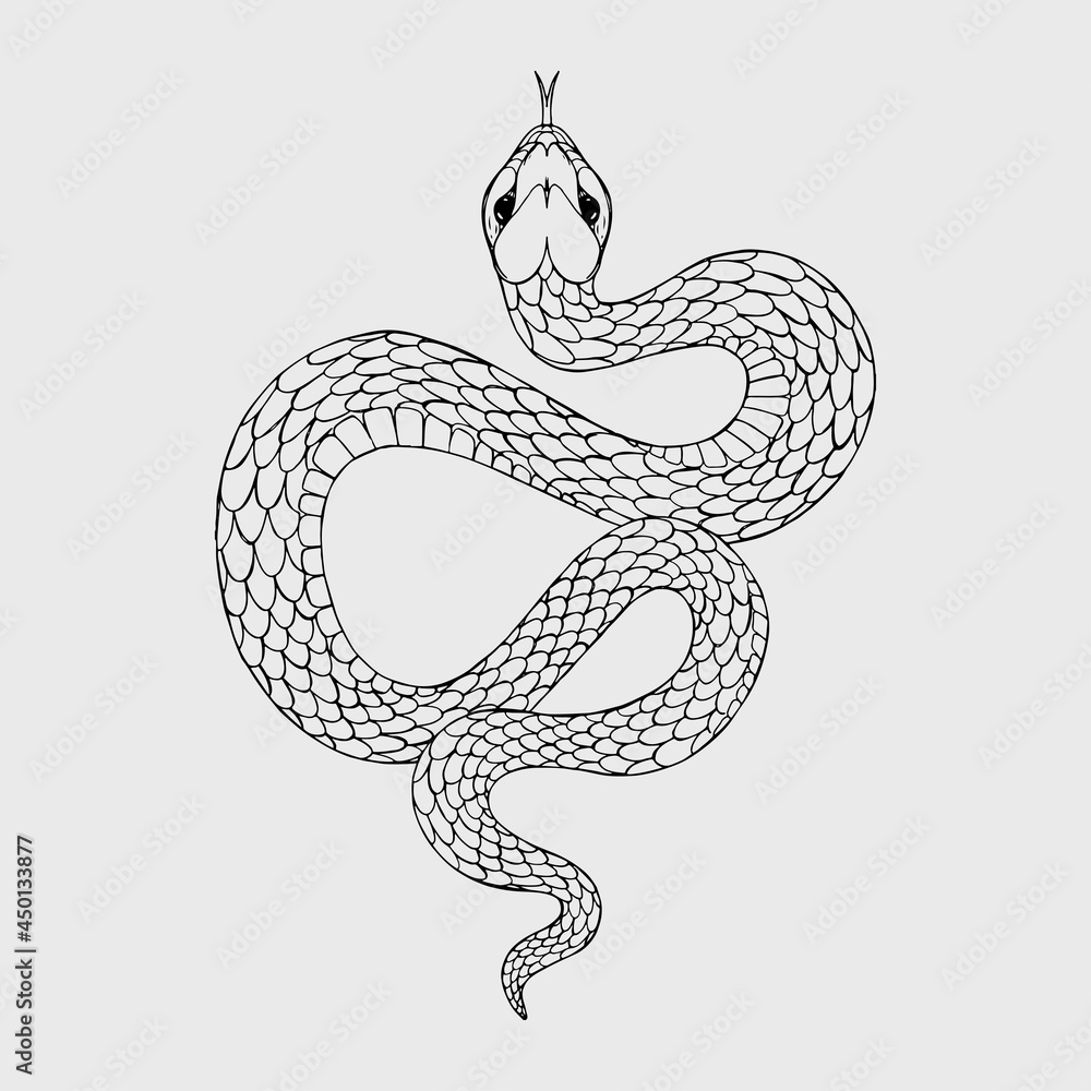 Black Snake Vintage Old Vector Hand Drawn Illustration Linear Snake Tattoo  Sketch Gothic Halloween Illustration Witchcraft Attributes Magic Runes  Occult Voodoo Isolated serpent Snake Drawing Stock Vector | Adobe Stock