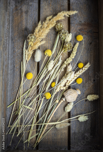 Getrocknete Blumen und Gräser, Craspedia, Mohnkapsel, Getreide photo