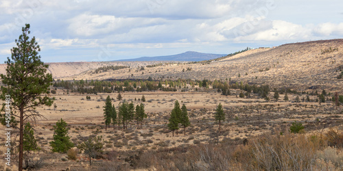 Dry autumn landscape in central Oregon.