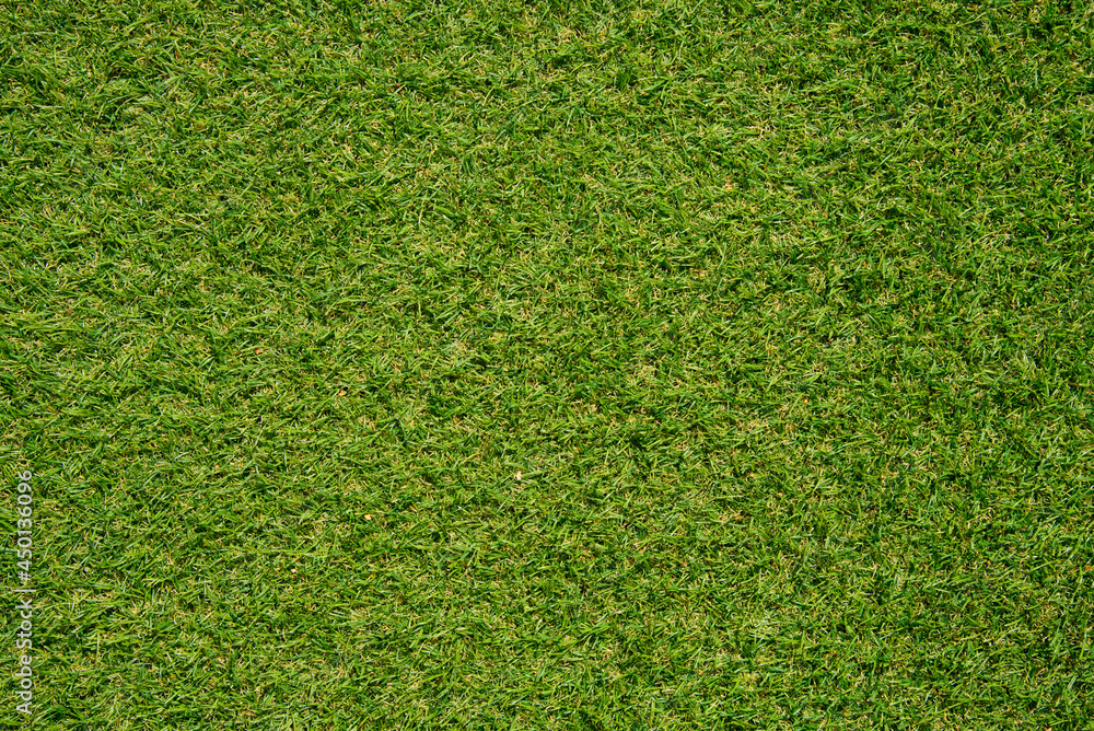 Obraz premium Green lawn grass top view background