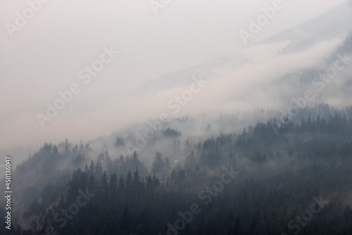 Trees on the side of a mountain in a valley covered by smoke from Forest Wildfire. Nature Disaster. Lytton  British Columbia  Canada.