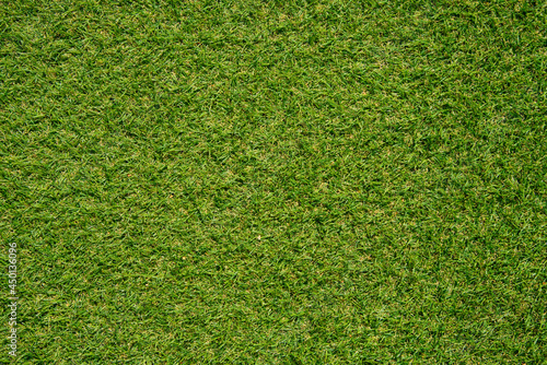 Green lawn grass top view background