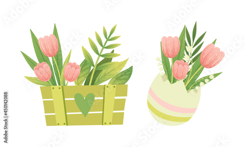 Spring Blooming Pink Tulip Flower Bouquet in Wooden Crate and Vase Vector Set