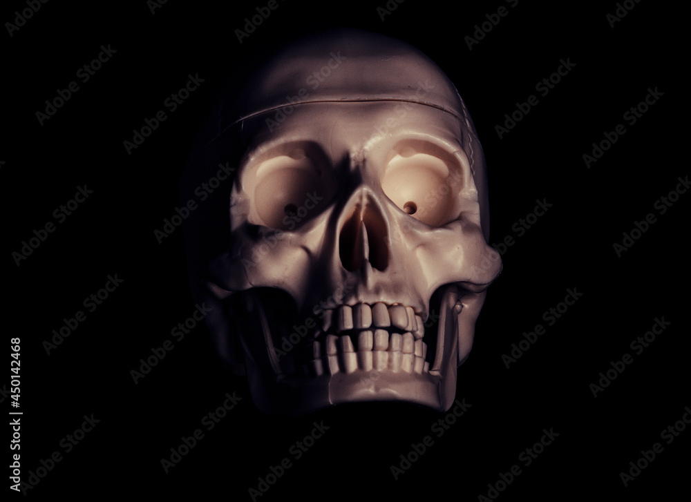 Single human skull in the darkness.