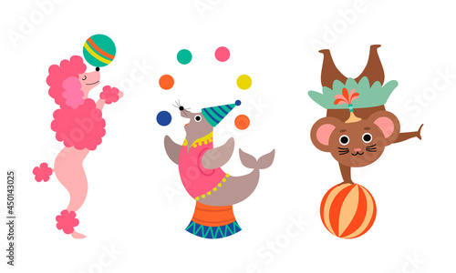 Circus Poodle and Seal Animal Performing Trick Juggling with Ball Vector Set