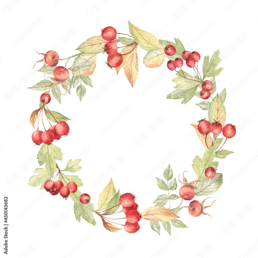 Floral wreath of the hawthorn berries and leaves, and rose hips. Watercolor illustration on white isolated background. Beautiful design for the autumn projects - cards, invitations, plates' decor.