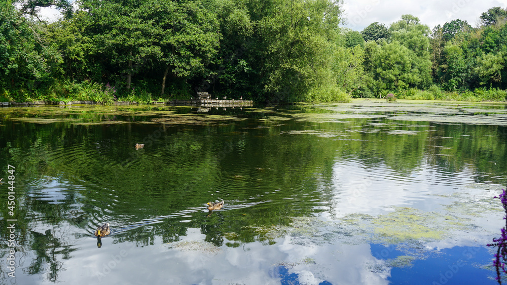 Bridge and birds in Reddish Vale Country Park Bridge and birds in Reddish Vale Country Park