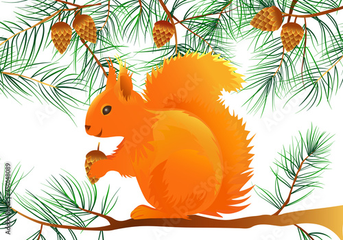 Illustration of squirrel with cone and pine branches