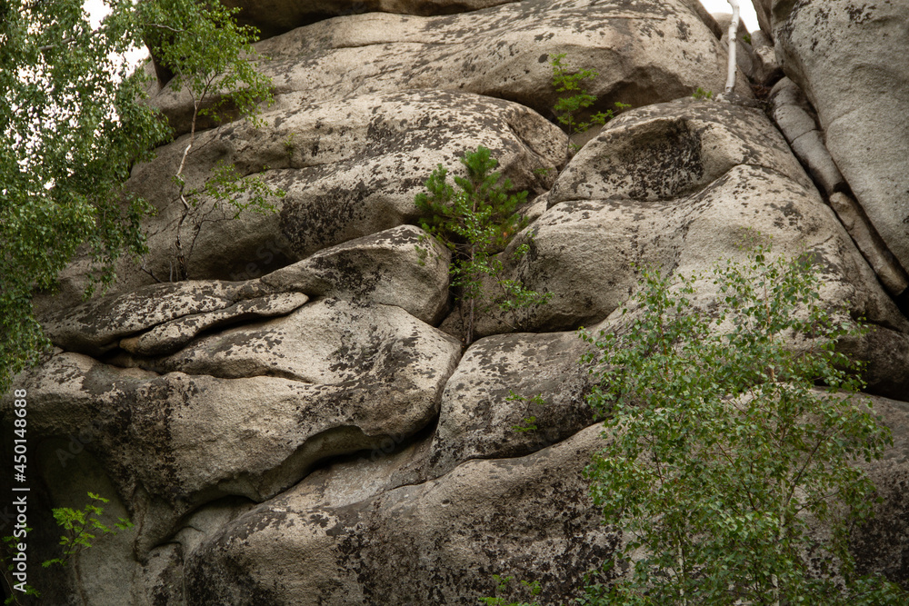 stone animals stone animals