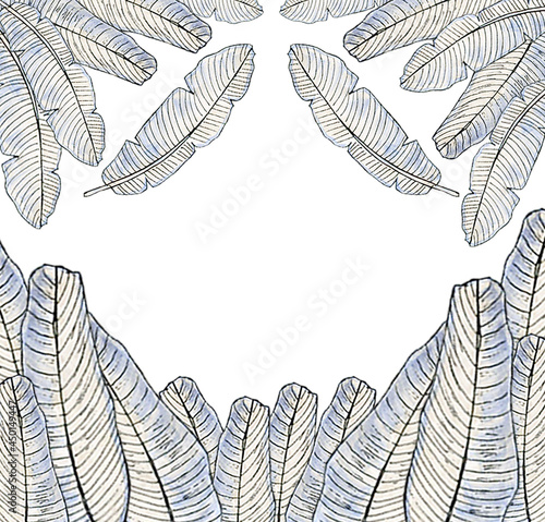 banana leaf doodle line nature plant illustration isolated blue.