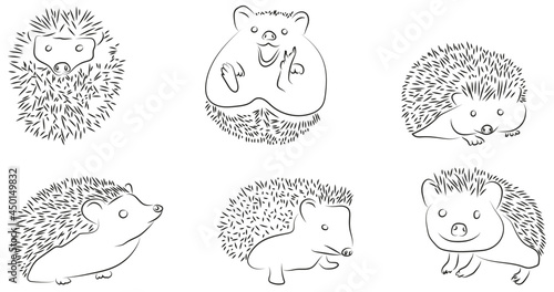 Igel Hedgehog Konturen Zeichnungen Vektor Grafik Handgezeichnet