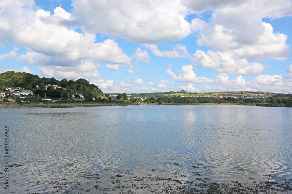 River Plym, Devon at low tide	